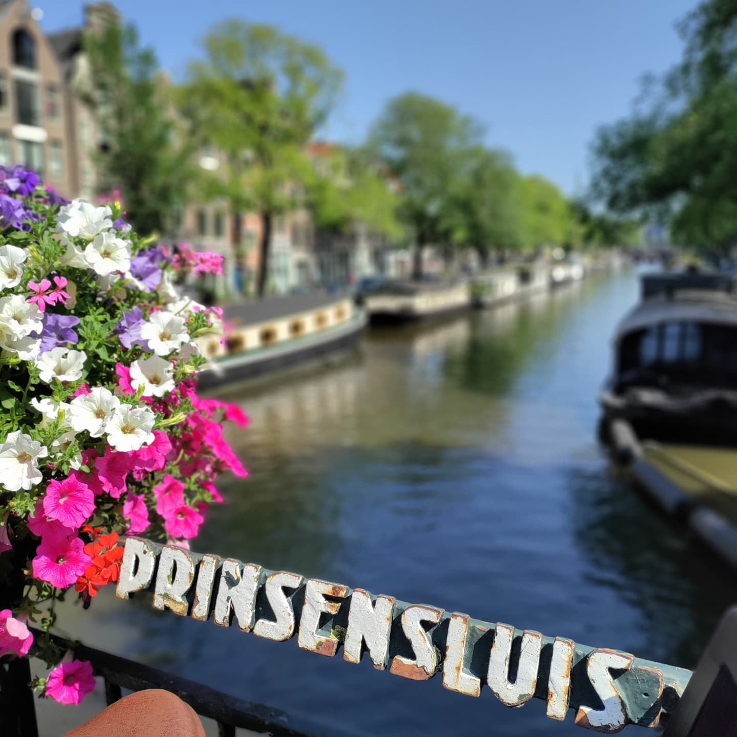 prinsensluis amsterdam